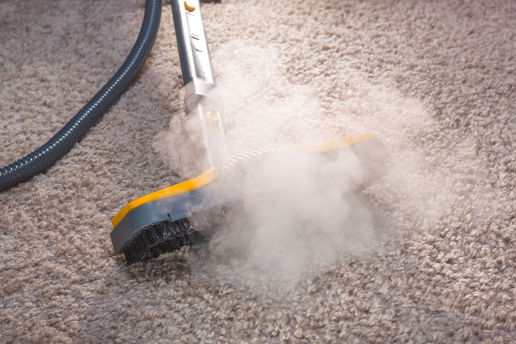 Professional Carpet Cleaning The Healthy Choice Aaa Steam