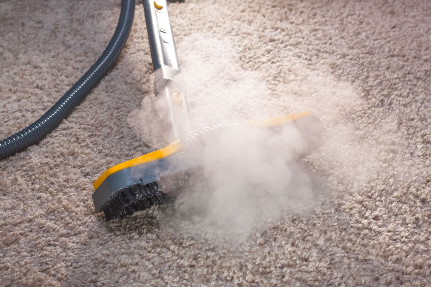 Image result for Carpet Cleaning